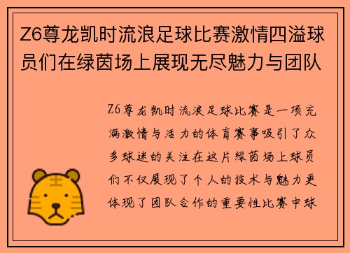 Z6尊龙凯时流浪足球比赛激情四溢球员们在绿茵场上展现无尽魅力与团队精神