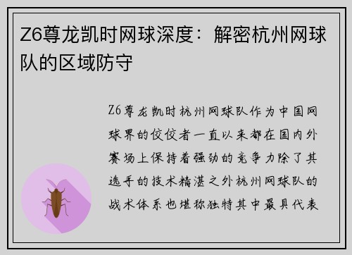 Z6尊龙凯时网球深度：解密杭州网球队的区域防守