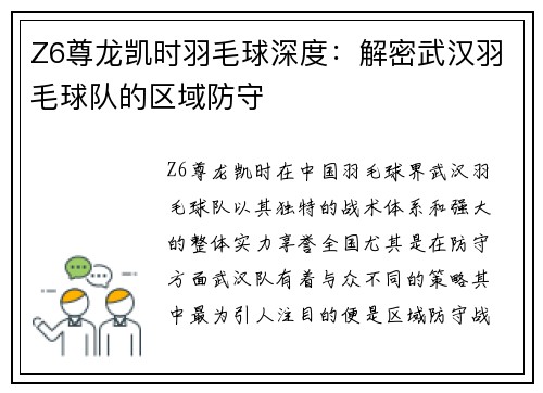 Z6尊龙凯时羽毛球深度：解密武汉羽毛球队的区域防守